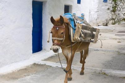 voyage amorgos 