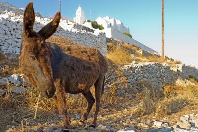 voyage folegandros 