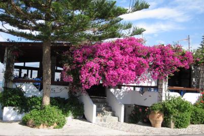 frangokastello crete 