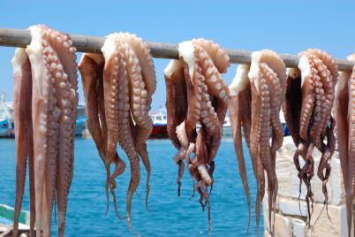 voyage naxos 