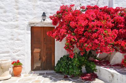 voyage naxos 