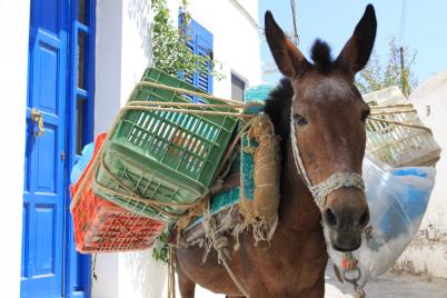 voyage avec paros 